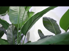 ঘোরানো বিভাগের ভিডিও