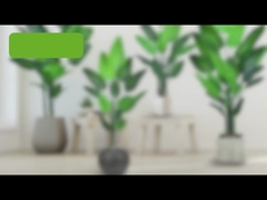 ভুয়া ভ্রমণকারী পামের গাছ (স্বর্গ পামের পাখি) - 180cm / 200cm বাস্তববাদী পিই পাতা কৃত্রিম প্লাস্টিক