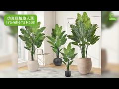 কৃত্রিম ভ্রমণকারীর তাল গাছ, বাস্তবসম্মত পাতার প্রান্ত সহ ১৬০ সেমি ১৮০ সেমি | জীবন্ত ফক্স বার্ড অফ প্যারাডাইজ প্ল