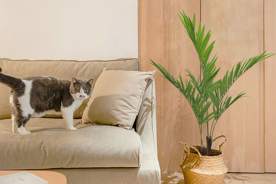 SGS Natural Artificial Potted Floor Plants Kenita Palm Tree