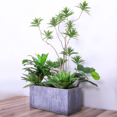 Natural Wood Artificial Landscape Trees Lily Bamaboo For Home Decor Evergreen No Water