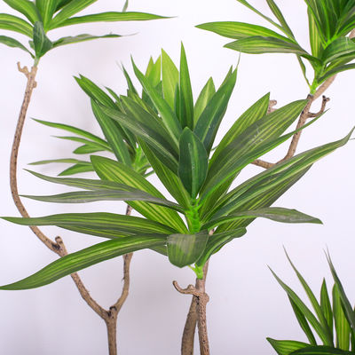 Natural Wood Artificial Landscape Trees Lily Bamaboo For Home Decor Evergreen No Water