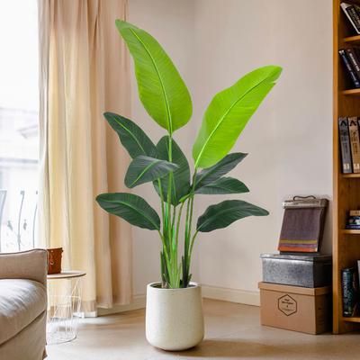 Multiple sizes Tall Bird of Paradise Artificial Tree  with Large Trunks and Realistic Leaves Big Faux Floor Potted Plants Fake Silk Plants for Home Office Living Room Decor Indoor