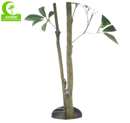 Lifelike Wiind Resistance Artificial Money Tree Plant , 5ft Outdoor Artificial Tree