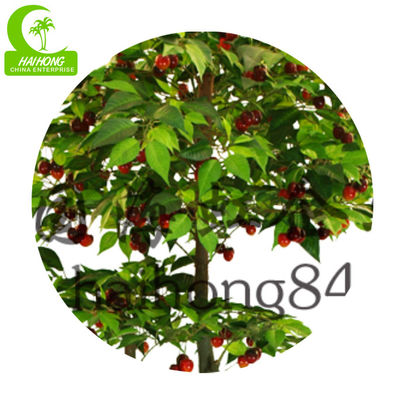Simulated 160cm Cherry Artificial Landscape Trees Wind Resistance