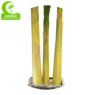 Customized Banana Artificial Landscape Trees For Relax
