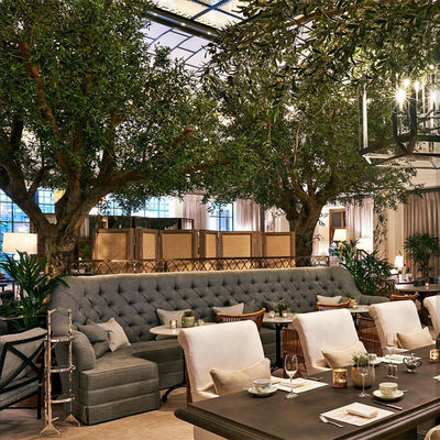 Custom Fiberglass Olive Artificial Landscape Trees Garden Decoration