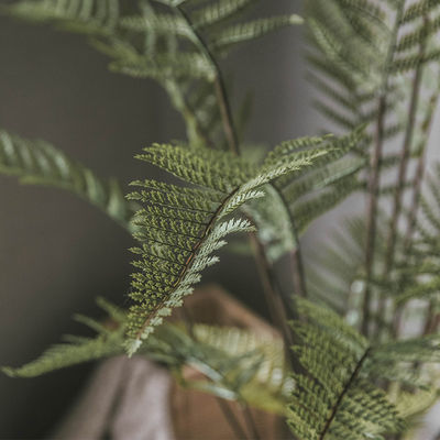 Corner Landscaping Fern Artificial Potted Floor Plants Anti Fading