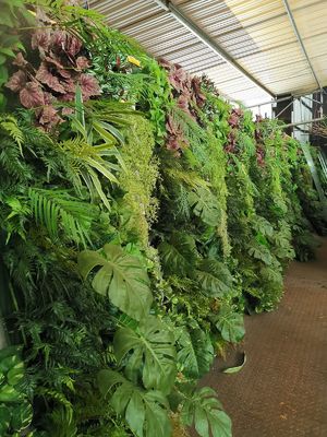 Lifelike Vertical Greening Customized Hanging Plant Green Wall For Decor