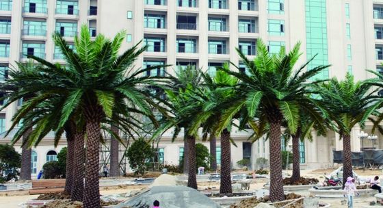 Big Tropical Artificial Date Palm Tree No Nursing Highly Simulated Plants Outdoor Decor