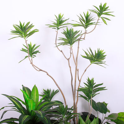 Natural Wood Artificial Landscape Trees Lily Bamaboo For Home Decor Evergreen No Water