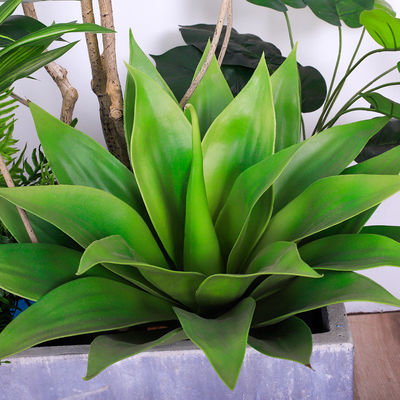 Natural Wood Artificial Landscape Trees Lily Bamaboo For Home Decor Evergreen No Water