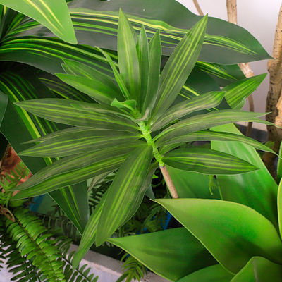 Natural Wood Artificial Landscape Trees Lily Bamaboo For Home Decor Evergreen No Water