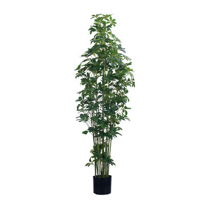 47in 59in 70in উচ্চতা রিয়েল টাচ কৃত্রিম Schefflera গাছ সবুজ পাত্র Schefflera উদ্ভিদ হোম সজ্জা জন্য