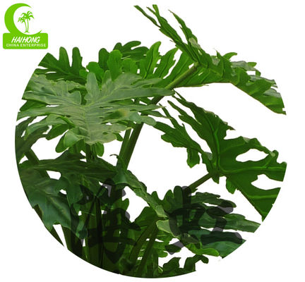 Artificial Plants Wholesale