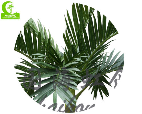 High Simulation H250cm Artificial Bottle Palm Tree Good Looking