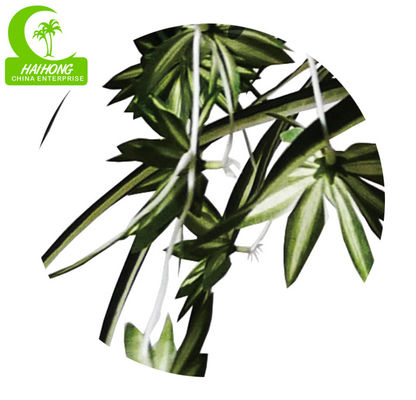 Fire Retardant Anti UV Artificial Spider Plant , Silk Spider Plant Aesthetic