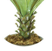 Anti UV Artificial Succulent Plant Landscaping Tropical Fiber Agave