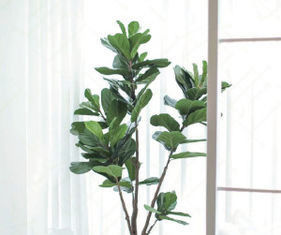 Natural 120cm Height Pandurata Artificial Ficus Tree Landing Plant
