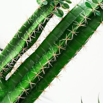 Fashion Cactus And Succulent Fake Plastic Plant For Home Decoration
