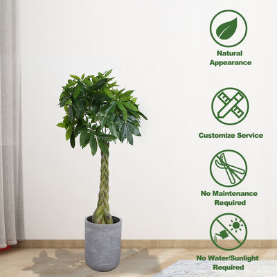 SGS UV Resistance Artificial Money Tree For Home Decoration Green Color Indoor Plants